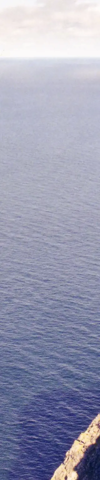 Vom legendären Nordkap hinabsehen
